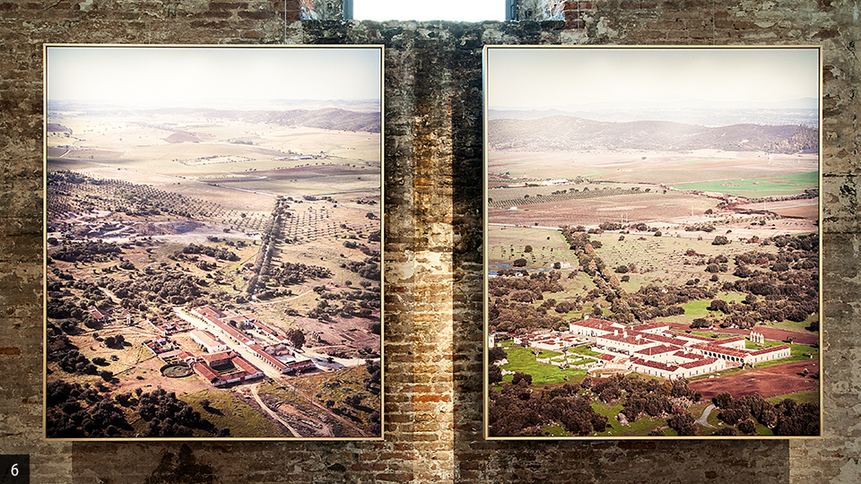 biennale_architettura gueraldi