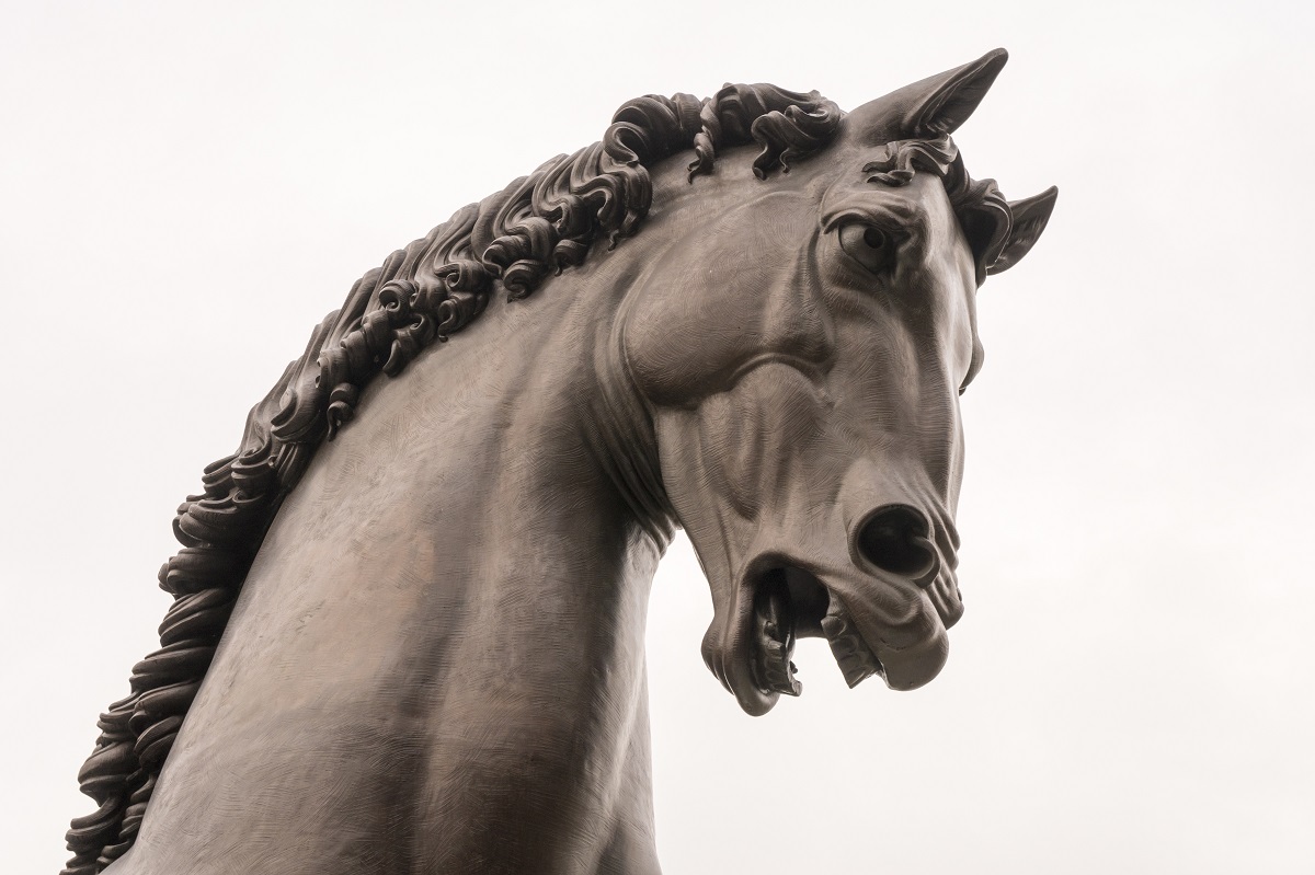 cavallo leonardo