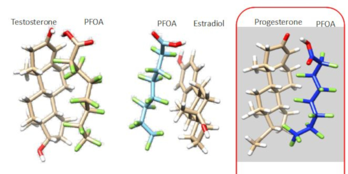 Progesterone e Pfoa