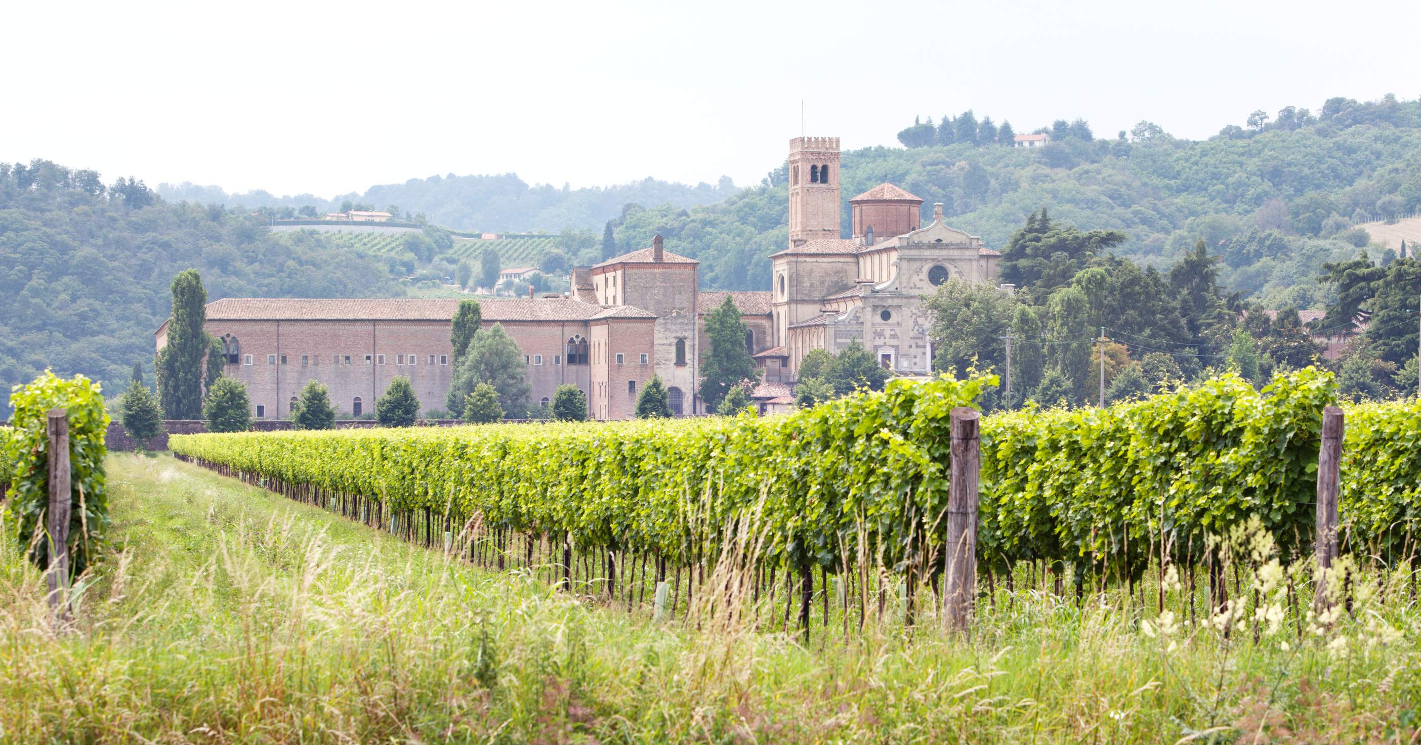 Abbazia di Praglia