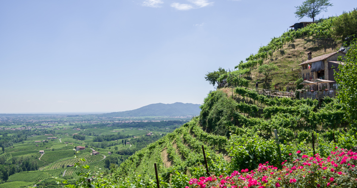 colline del prosecco