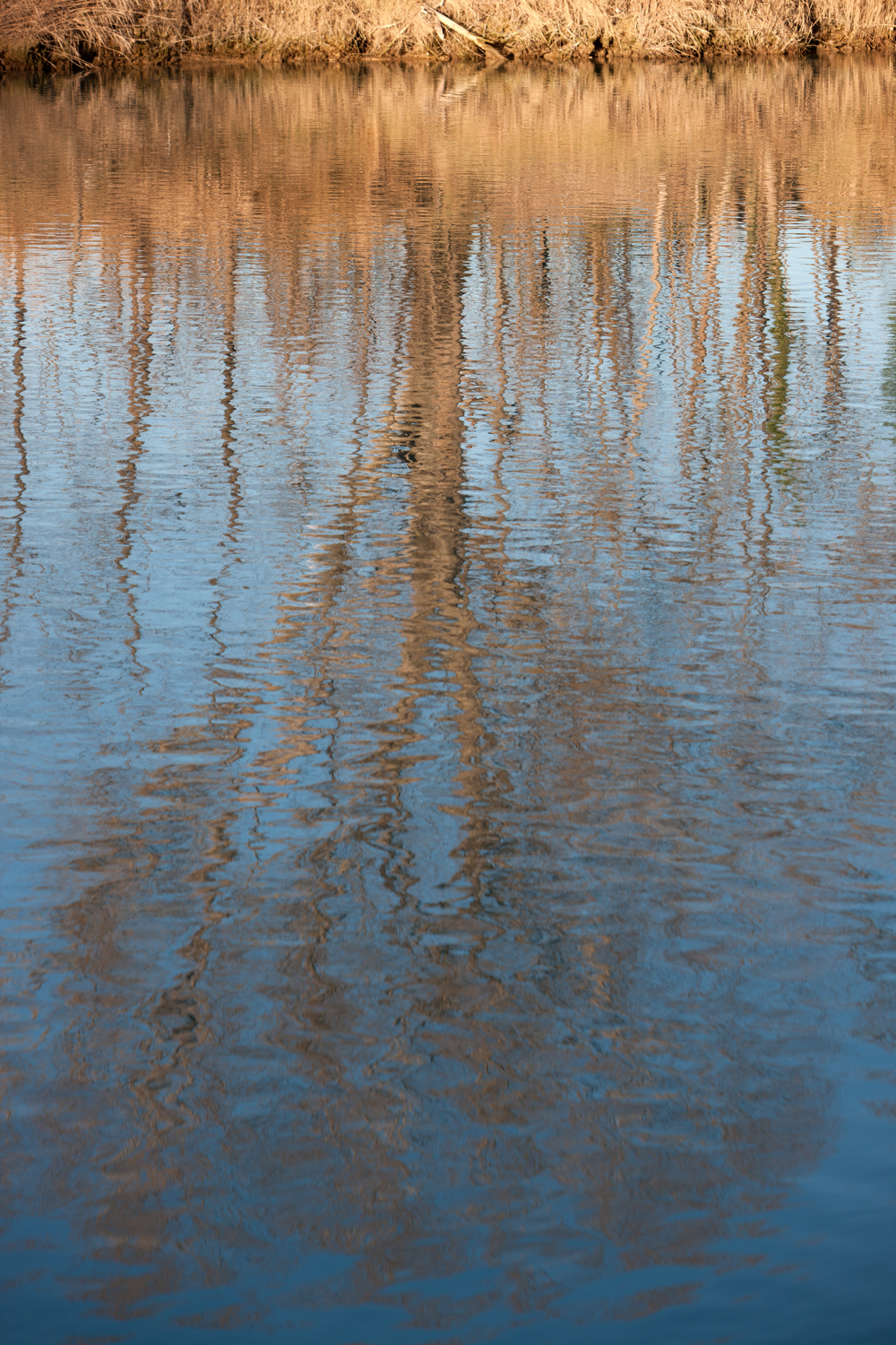 La Piave a San Donà