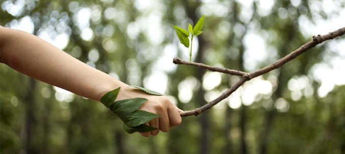 mano con natura