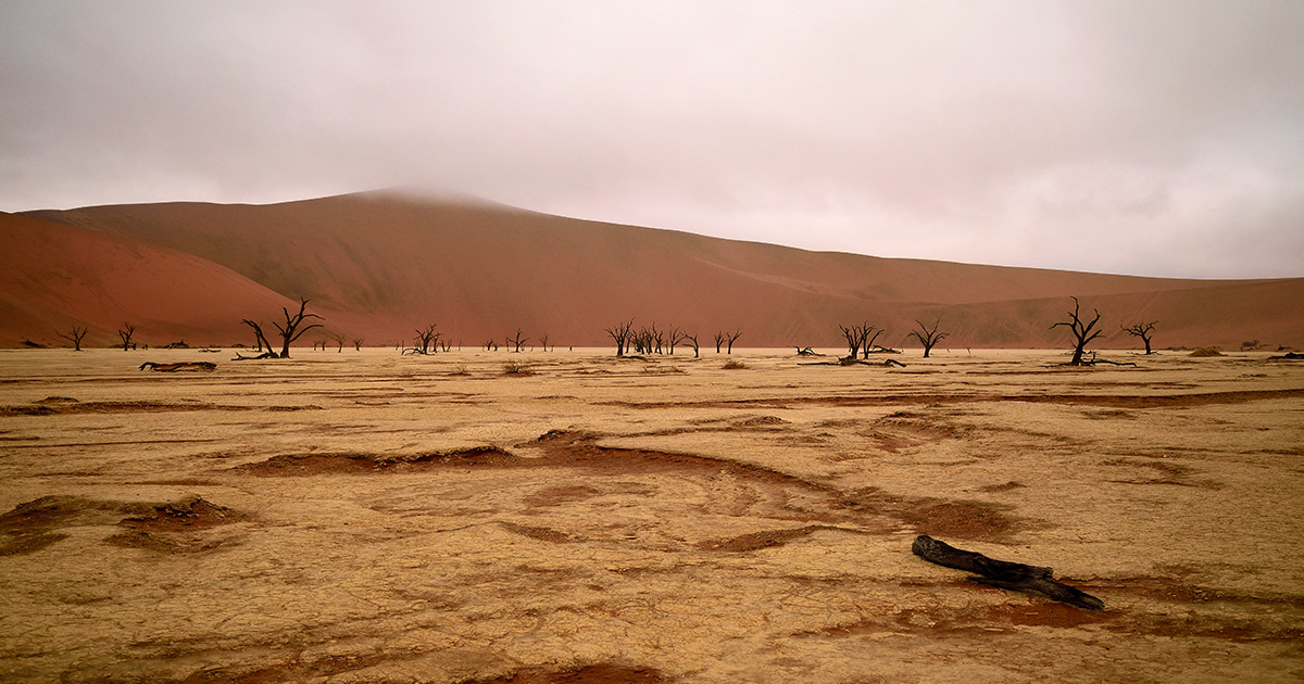 deserto, calura, caldo