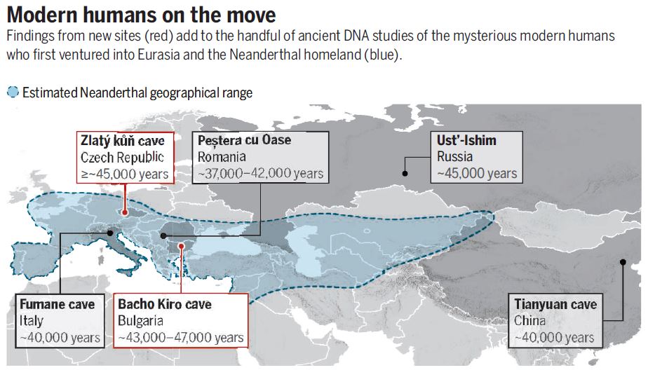 area geografica neanderthal