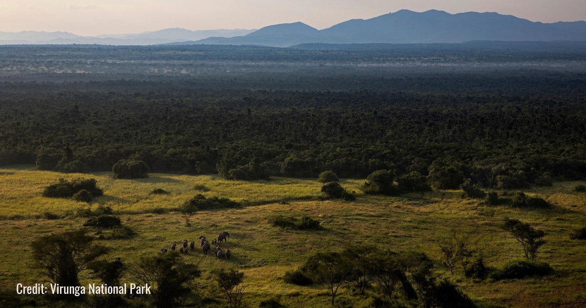 Parco nazionale dei Virunga