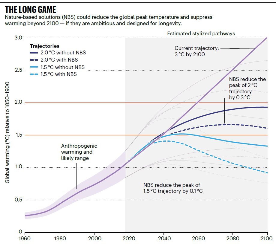 the long game