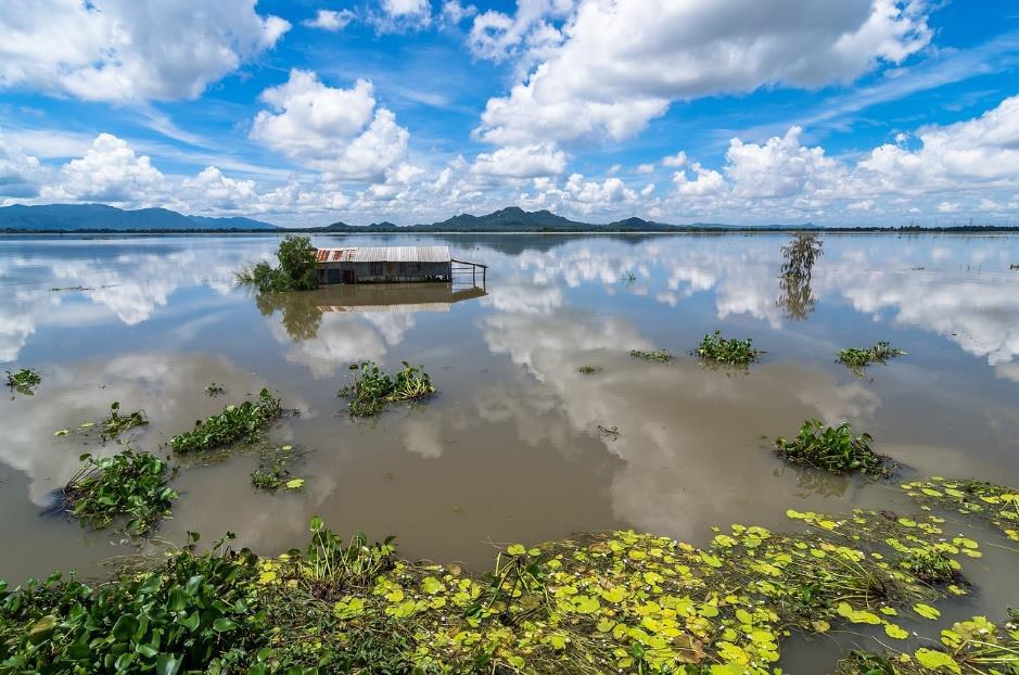 mekong