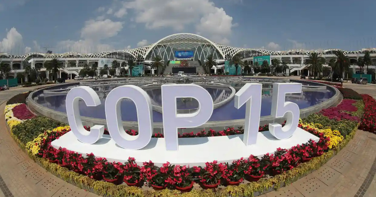 cop 15