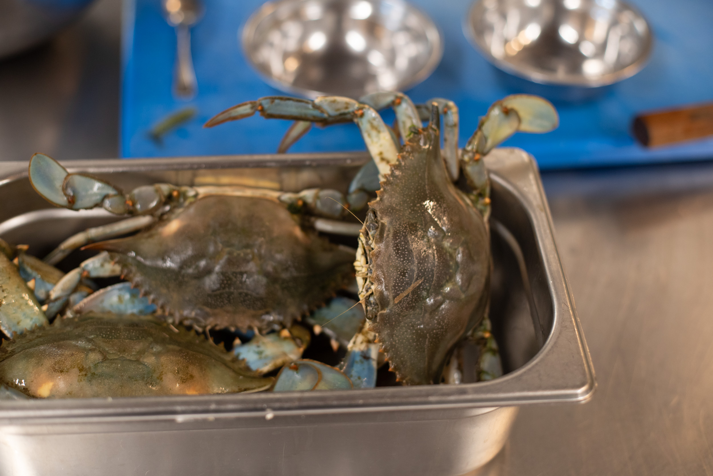 Il granchio blu nella cucina di Venissa. Foto: Massimo Pistore