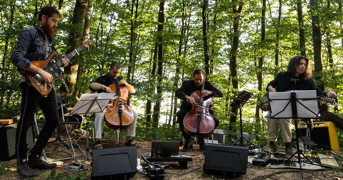 Stefano Pilia Spiralis Aurea Quartetto