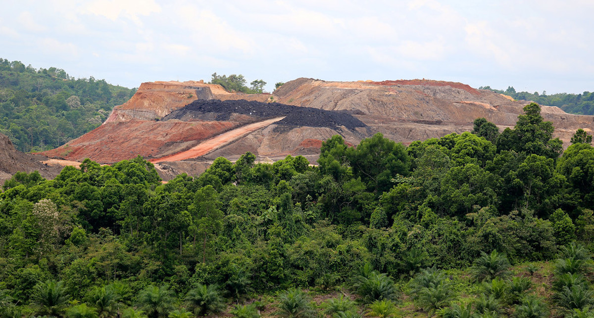 deforestazione Indonesia