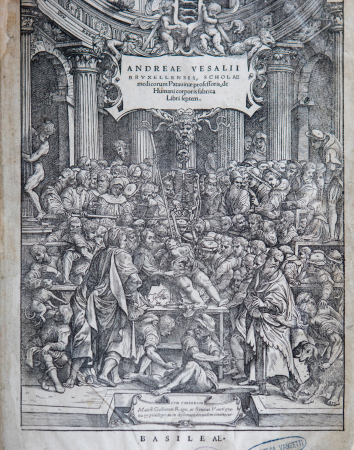 De humani corporis fabrica