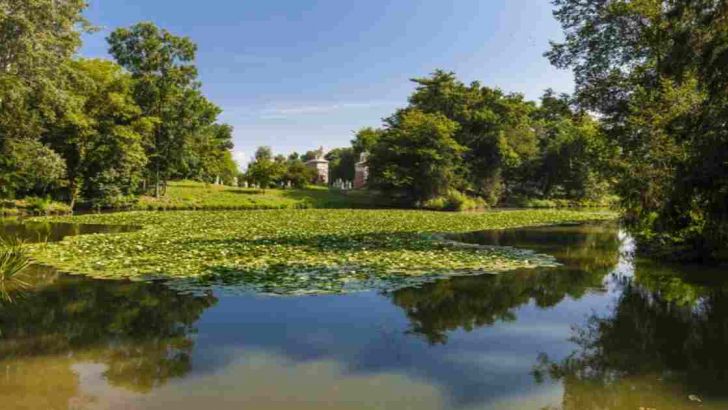 Il parco di villa Revedin Bolasco