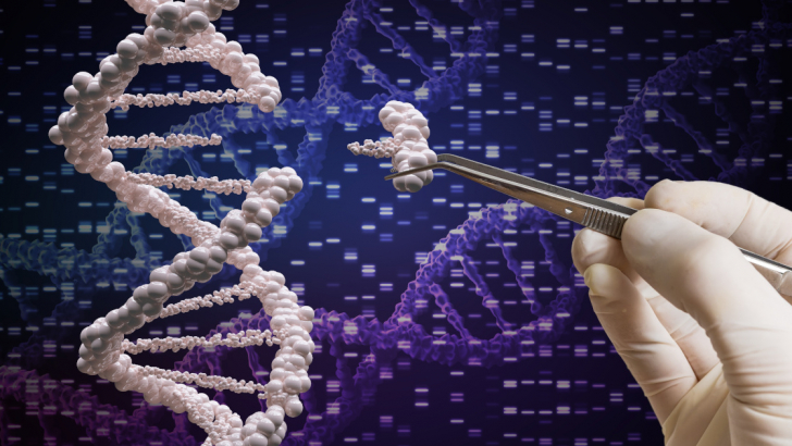 genome editing