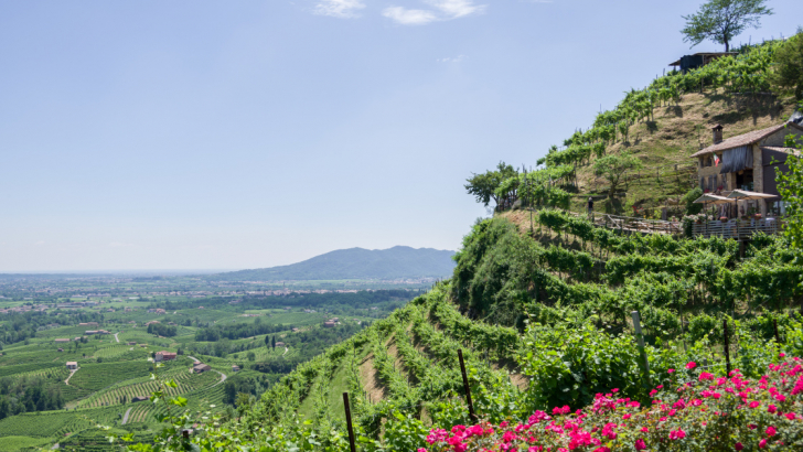 colline del prosecco