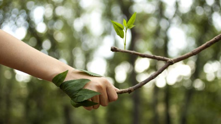 mano con natura