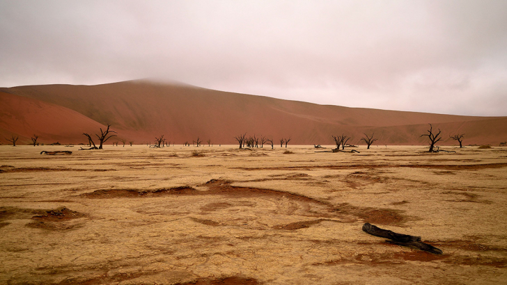 deserto, calura, caldo