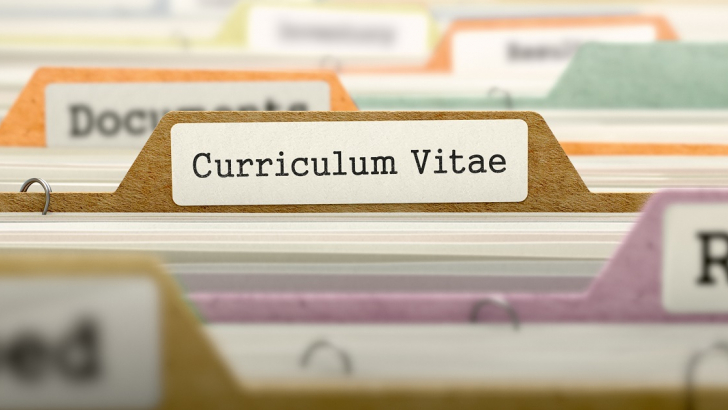 curriculum vitae