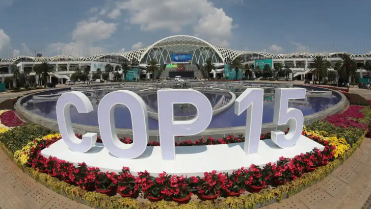 cop 15