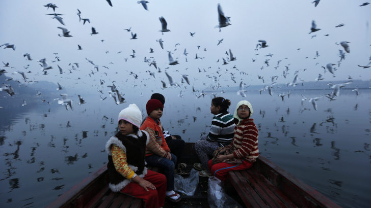 Uccelli migratori volano sopra bimbi in barca, Delhi, India. 