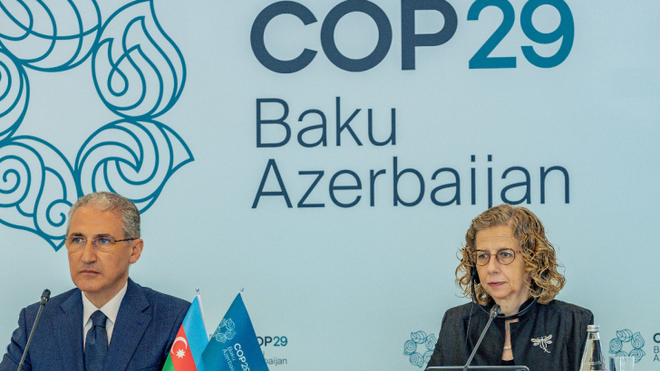 cop 29